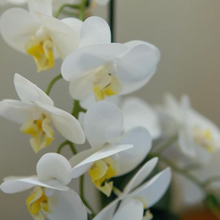 Mh 805 Apartment เวนิส ภายนอก รูปภาพ